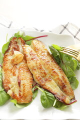 Homemade, butter sautéed fish fillet baby leaves salad