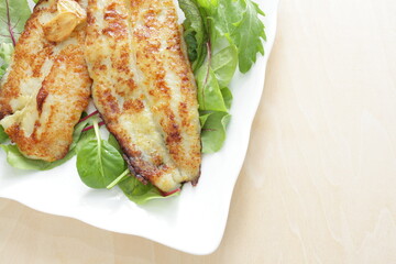 Homemade, butter sautéed fish fillet baby leaves salad