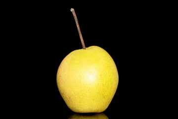 One organic bright yellow pear, close-up, isolated on black background.