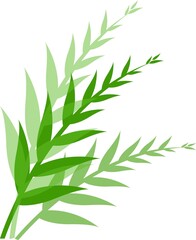 Leaves Illustration