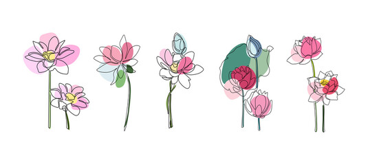Set a continuous line of water lily flowers. One line drawing of delicate flowers isolated on a white background. Silhouettes of water lilies for logo or floral design