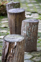 Obraz na płótnie Canvas The logs used as chairs in the garden