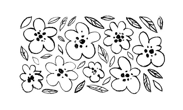Linear flowers and leaves drawn with charcoal pencil. Chamomile, daisy or poppy flowers hand drawn vector collection. Botanical sketch style clip arts. Grunge style ink painted elements for design