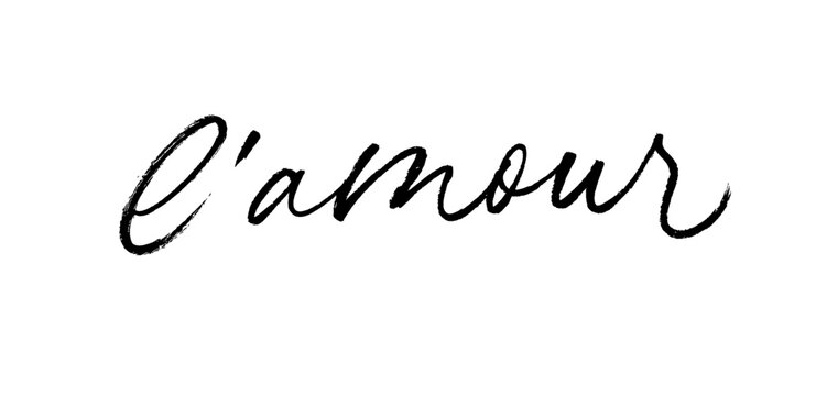 L'amour modern brush calligraphy. Word Love in French. Modern calligraphy script, cursive romantic text. Black ink lettering isolated on white. Vector lettering for Valentine's day. 