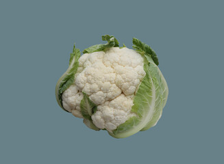 Head of cauliflower.
