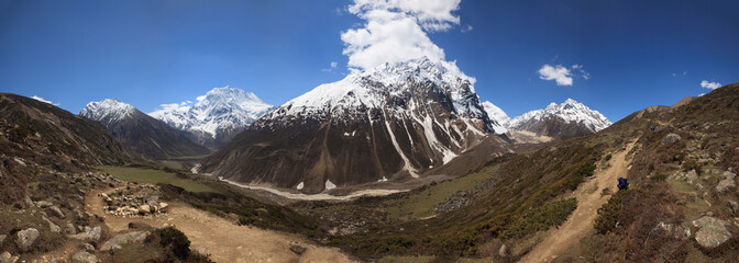 Hard pahway in desert Himalaya valley on the altitude of 4000 meters - obrazy, fototapety, plakaty