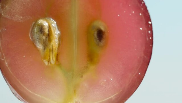 Half of a black grape with seeds inside, water dripping on it, against the blue sky, close-up.