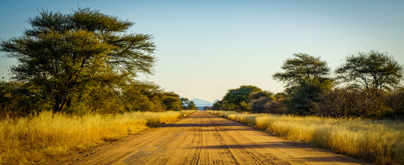 Namibia. Gravel Road  - 520539199