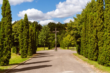 Fototapeta na wymiar Path to cemetery with a wooden cross and thuja trees planted