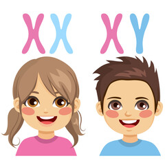Sex chromosomes (X and Y chromosome) for boy and girl. Allosomes. Females are XX, in males are XY chromosomes