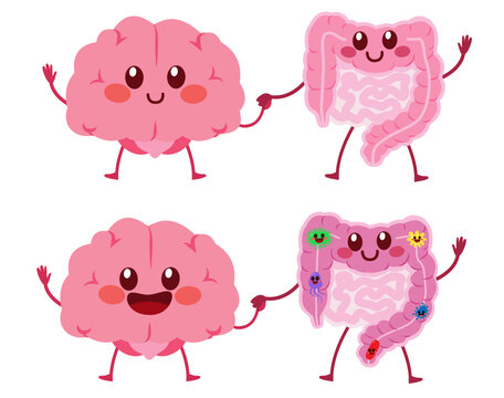 Cute Healthy Happy Brain And Intestine Gut Mascot Characters. Unity Of Mental And Digestive Concept