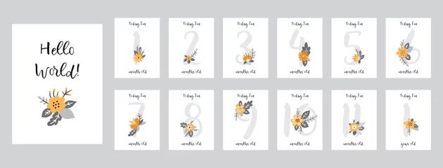 Foto op Plexiglas Baby shower print with cute flowers capturing all the special moments. Baby milestone number cards. Vector illustrations © Юлия Мошакова
