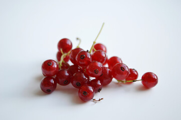 many red currants fruits on several stems on a white background, straight from the forrest