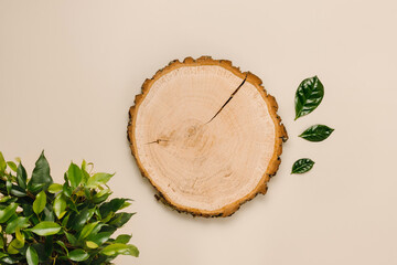 Top view wooden podium with green leaves for eco product presentation. Flat lay, neutral beige...