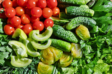 The set of the fresh vegetables and greens. Cucumbers, sweet peppers, cherry tomatoes and different herbs. Top view.