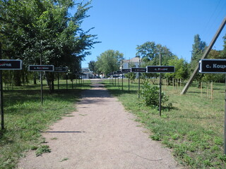 Nature view in Chernobyl