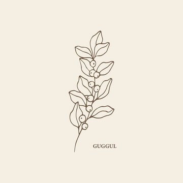 Guggul Images – Browse 143 Stock Photos, Vectors, and Video | Adobe Stock