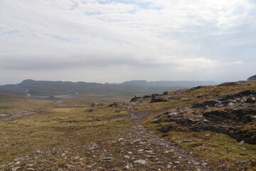 Fototapeta na wymiar Park Narodowy Hardangervidda w Norwegii