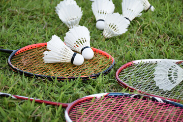 Shuttlecocks and badminton rackets on the green field
