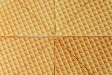 Wafer texture, crispy roasted wafer surface