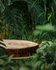 Tree trunk wood plank on garden or forest background for product placement 3d render  