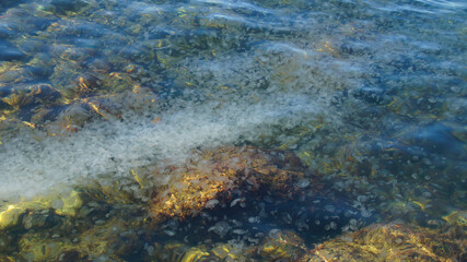 Fototapeta na wymiar Photo of the Black Sea with a lot of jellyfish in Crimea
