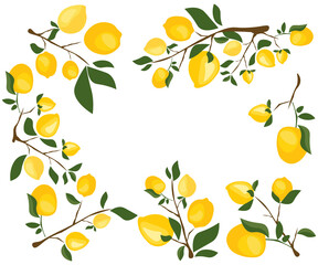 background citrus ripe juicy yellow lemon