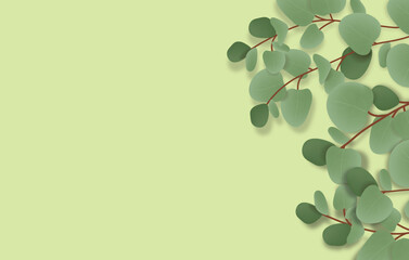 Eucalyptus background vector, Plant banner, minimalist design