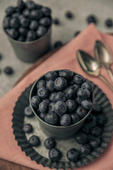 abundance concept by bowls and plates full of blueberries