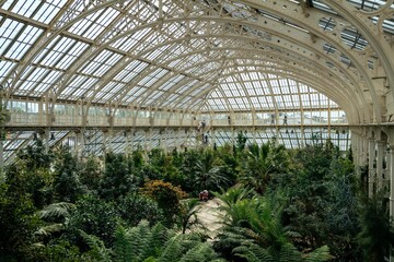 Wide-angle shot of interior view of an orangery with exotic plants - obrazy, fototapety, plakaty