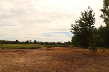 SOOS nature reserve, extensive bogs and bogs with a large number of mineral springs