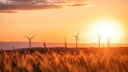 Schilderijen op glas Silhouette of wind turbines in a field on the sunset © Michael Sauer/Wirestock Creators