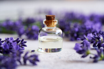 Obraz na płótnie Canvas A transparent bottle of essential oil with blooming lavender plant
