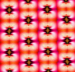 geometric pattern stylized as red poppy colors
