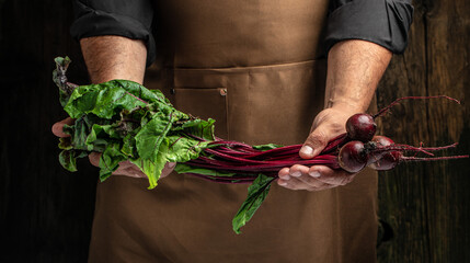 beetroot in hands, Healthy organic food, vegetables, agriculture. place for text