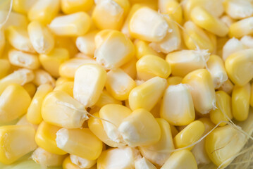 Sweet corn with seed corn
