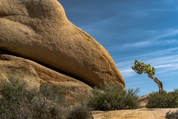 Hall of Horrors Rock Formations in Joshua Tree National Park, California, USA