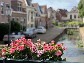 Flowers at a canal in Franeker