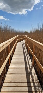 Vertical shot of a walking bridge on the lake 'Store Hoj So' in Vestamager, Copenhagen, Denmark
