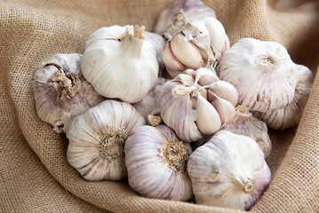 Group of raw organic garlic bulbs in a bowl on sackcloth. Allium sativum. Useful as a background for cooking blogs. Healthy cooking ingredient from organic agriculture.