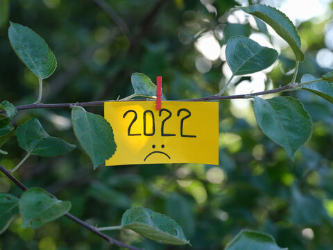 A yellow paper note with the year 2022 and a sad face on it attached to a tree with a clothes pin