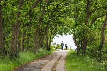  A winding road along the Baltic Sea coast.