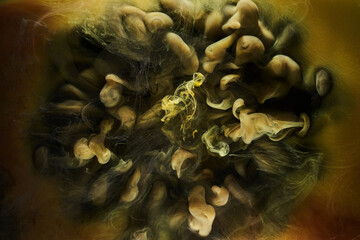 Liquid fluid art abstract background. Black, yellow dancing acrylic paints underwater, space smoke ocean