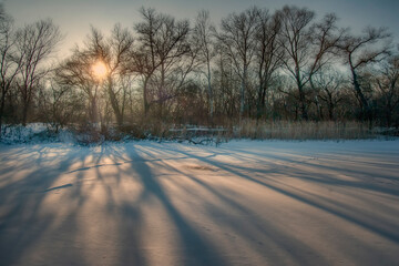 Shadows of trees on the ice of a frozen lake