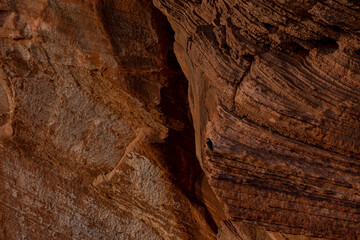 bird canyon