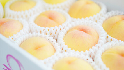 白桃 / 岡山県産・清水白桃