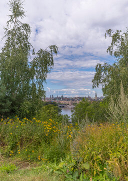 Skyline View From A Flower Rich Hill With Birch Trees, A Sunny Summer Day In Stockholm