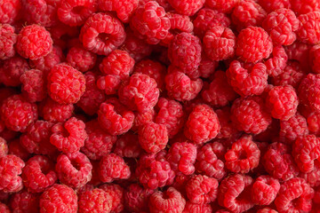 Fresh ripe red raspberry as background.