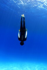 Vertical shot of a diver underwater