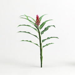 3d illustration of heliconia tree isolated on white background